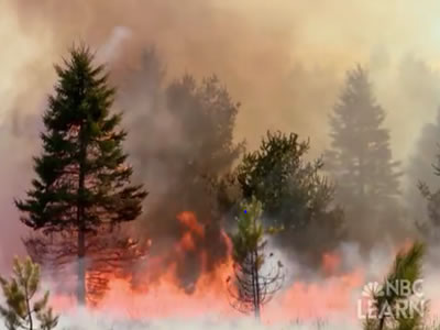 <p>Something on Earth is always burning! NASA's Earth Observatory tracks wildfires across the world with <a href="http://earthobservatory.nasa.gov/GlobalMaps/view.php?d1=MOD14A1_M_FIRE" target="_blank">maps available for viewing</a> from 2000-present. Some wildfires can restore <a href="/earth/ecosystems.html&edu=high">ecosystems</a> to good health, but many can threaten human populations, posing a natural disaster threat.</p>
<p>Check out the materials about natural disasters in <a href="/earth/natural_hazards/when_nature_strikes.html&edu=high">NBC Learn Videos</a>, and their earth system science connections built up by the related secondary classroom activities.</p><p><small><em>NBC Learn</em></small></p>