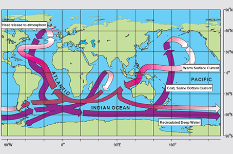 The <a
  href="/earth/Water/circulation1.html&edu=high&dev=">thermohaline
  circulation</a>, often referred to as the ocean's "conveyor belt",
  links major surface and deep water currents in the Atlantic, Indian, Pacific,
  and Southern Oceans. This pattern is driven by changes in water <a
  href="/earth/Water/temp.html&edu=high&dev=">temperature</a>
  and <a
  href="/earth/Water/salinity.html&edu=high&dev=">salinity</a>
  that change the <a
  href="/earth/Water/density.html&edu=high&dev=">density</a>
  of seawater.<p><small><em> Image courtesy <a href="http://www.clivar.org/publications/other_pubs/clivar_transp/d3_transp.htm">CLIVAR</a> (after W. Broecker, modified by E. Maier-Reimer).</em></small></p>