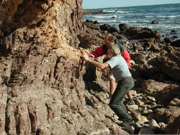 Aunque los humanos no hemos experimentado un <a href="/earth/climate/climate.html&lang=sp">calentamiento global </a> sbito, nuestro planeta si. Y nuestro planeta  mantiene registros de lo que ha ocurrido. 
En esta imagen, <a href="/headline_universe/olpa/methane_28may08.html&lang=sp">los gelogos Chris von der Borch y Dave Mrofka</a> recogen muestras de sedimentos en el sur de Australia. Estas rocas contienen informacin que puede ayudar a explicar porque el clima cambi abruptamente hace  635 millones de aos.<p><small><em>    Cortesa de Martin Kennedy, UCR</em></small></p>