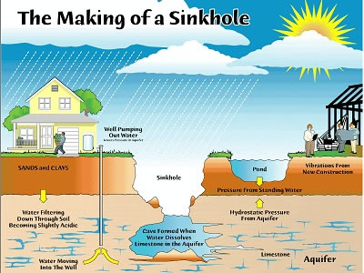 Sinkholes are <a href="/teacher_resources/main/frameworks/esl_bi8.html&edu=elem&dev=1">natural hazards</a> in many places around the world. They are formed when water dissolves underlying <a href="/earth/Water/carbonates.html&edu=elem&dev=1">limestone</a>, leading to collapse of the surface.  Hydrologic conditions such as a lack of rainfall, lowered water levels, or excessive rainfall can all contribute to sinkhole development. On 2/28/2013, a sinkhole suddenly developed under the house outside of Tampa, Florida, leading to the tragic death of its occupant, Jeff Bush.<p><small><em>Image courtesy of Southwest Florida Water Management District</em></small></p>