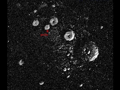 This image, made with <a href="/earth/Atmosphere/tornado/radar.html">radar</a> data, shows the area around the <a href="/mercury/mercury_polar_regions.html">North Pole of Mercury</a>. There are some white circles or "doughnuts" in the picture. The white circles might be ice at the bottom of <a href="/mercury/mercury_polar_regions.html">meteor craters</a>. The picture is a few hundred kilometers across. It was made by the Arecibo radio telescope in Puerto Rico.<p><small><em>Image courtesy of NAIC - Arecibo Observatory, a facility of the NSF (J. Harmon, P. Perrilat, and M. Slade).</em></small></p>