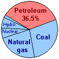 Petroleum use pie chart