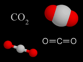 Carbon dioxide molecule