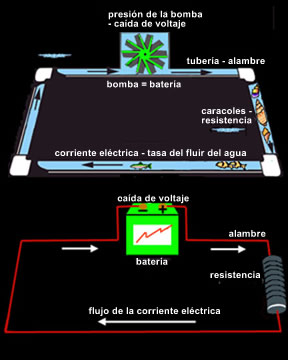 Circuitos eléctricos: analogía de agua en tuberías