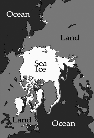 Arctic sea ice map